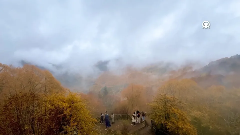 Yedigöller sonbahar renklerine büründü