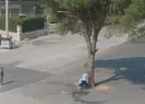 CHPli belediyeden ağaç katliamı
