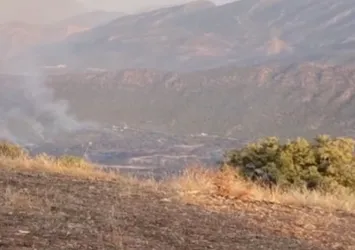 PKK-YPG köyde yangın çıkardı: TSK alevlere müdahale ediyor