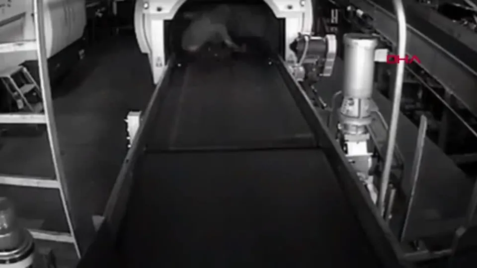 Bagaj bandına giren otizmli çocuk korkuttu! O anlar kamerada