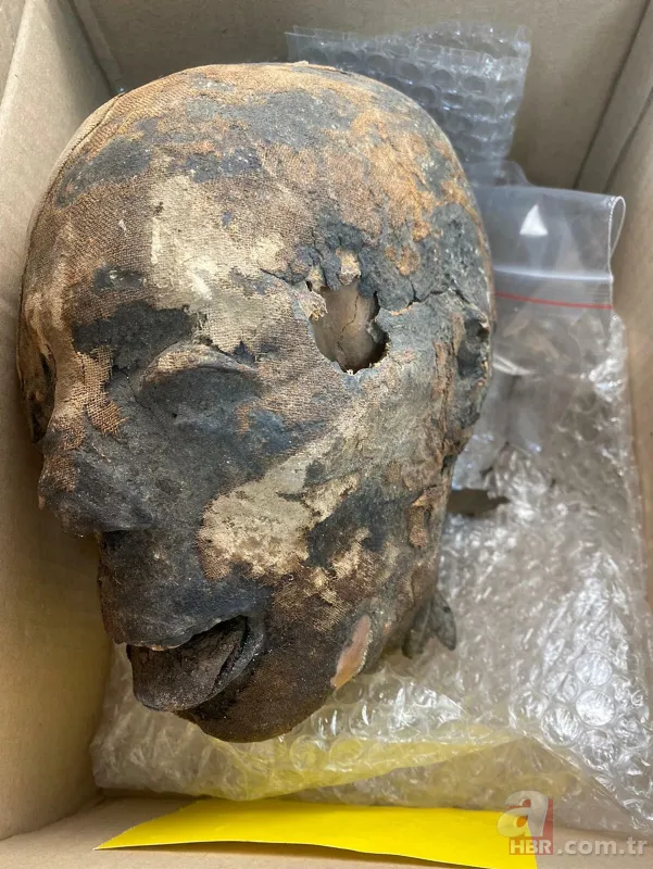 İzmir’de ele geçirilen 'Tsantsa'lar ile ilgili karar verildi! İade edilecekler 4