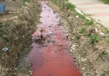 Dere kırmızıya boyandı! Rekor ceza kesildi