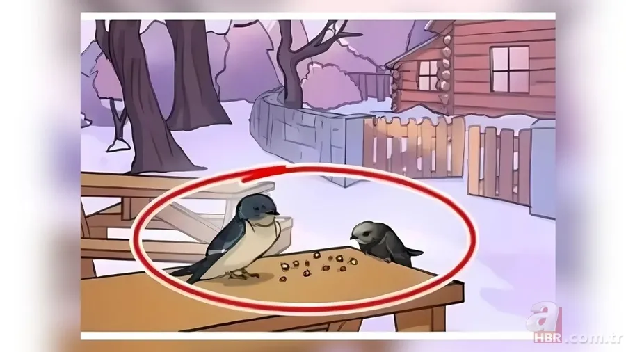 Zeka testi: Bu görseldeki gizli hata nerede? Sadece Sherlock Holmes gibi düşünenler buluyor 5