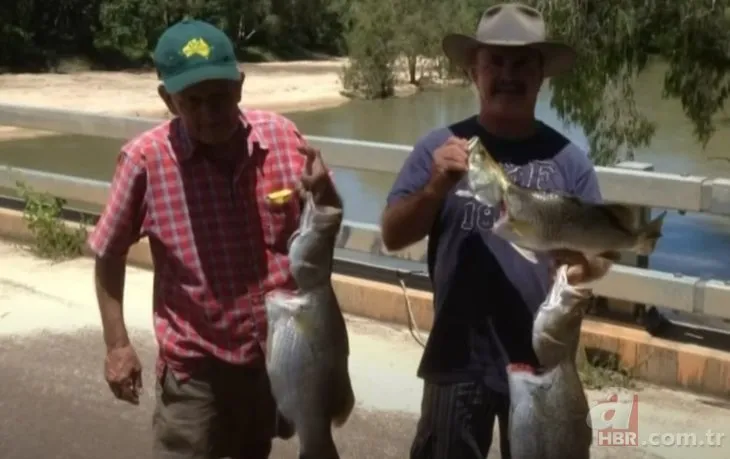 Dev timsah dehşet saçtı 🐊 Her yerde aranan balıkçı timsahın midesinden çıktı