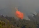 Marmaris’te orman yangını!