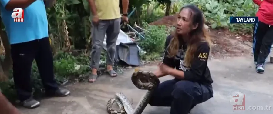 Fabrikada dev piton paniği! Yılan avcısı genç kadın... 22