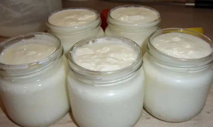 Kanser Uzmanlarindan Yogurt Tavsiyesi Ev Yapimi Yogurt