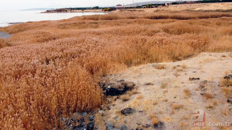 Sıradan bir taş sandılar ama işin aslı farklı çıktı! 2 bin 750 yıl önce kullanmışlar... 9