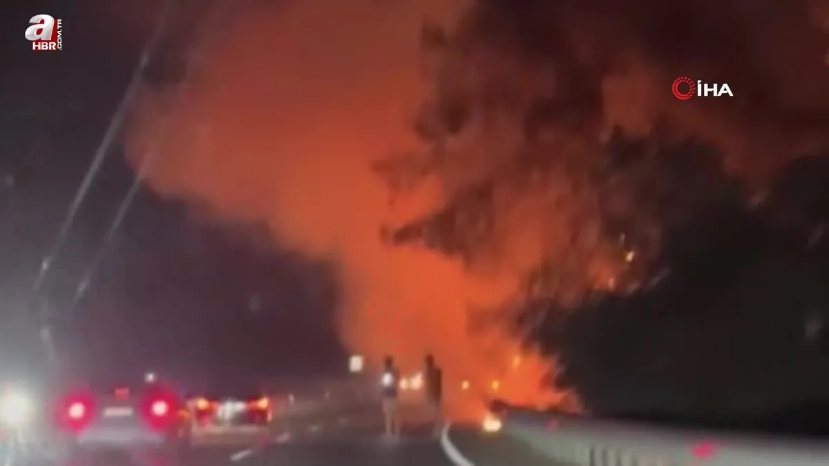 Sakar rampasında orman yangını