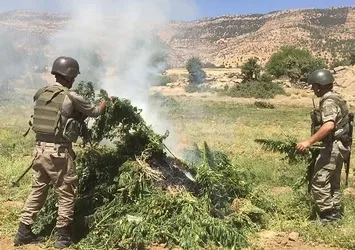 Diyarbakır'da PKK'nın inlerine baskın