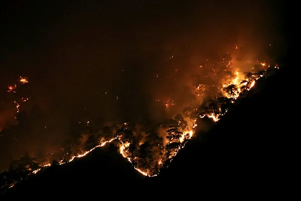 İzmir ve Manisa’daki yangınlar kontrol altına alındı