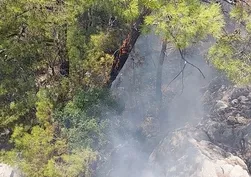 Antalya Kemer'de orman yangını!