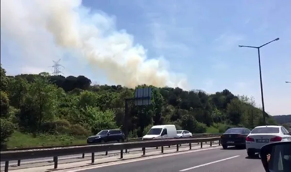 Son dakika: İstanbul Kavacık'ta orman yangını - 1
