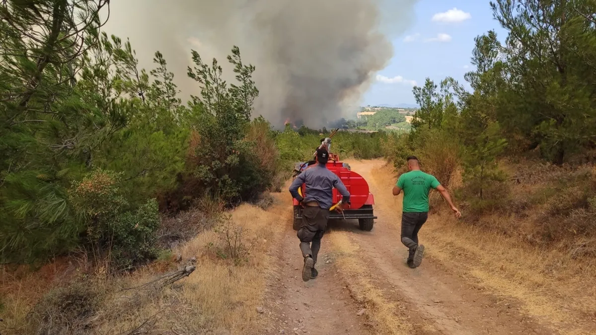 Evi yanan kadının geriye bir canı, bir kimliği, bir de telefonu kaldı