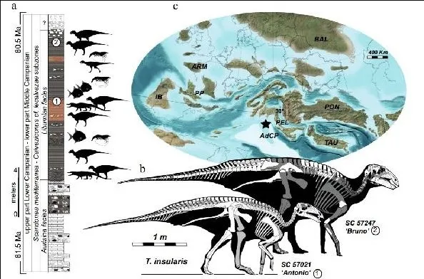 İtalya’da kazılarda bulundu: En büyük ve en eksiksiz!