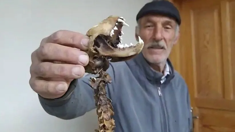 Artvin'de görenleri hayretler içinde bırakan olay! 55 santimlik iskelet