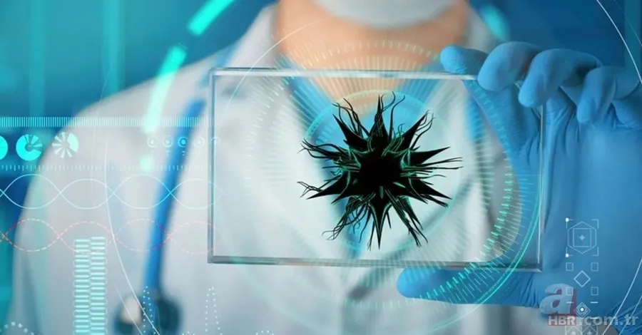 Uyuz hastalığı nedir, belirtileri neler? İnsandan insana uyuz nasıl geçer, kaşıntıya ne iyi gelir, tedavisi var mı? 2