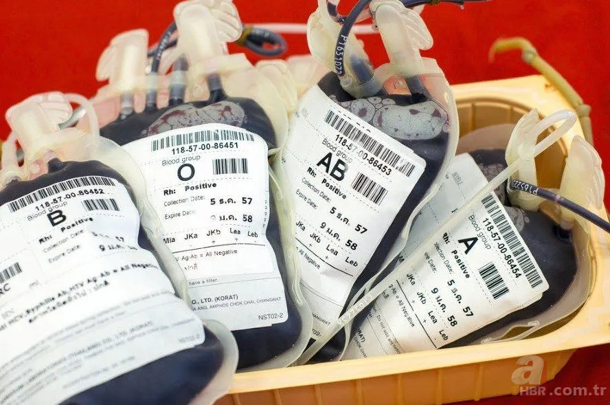 Hangi kan grubu nasıl beslenmeli? İşte kan grubunuza göre tüketmeniz gereken besinler... 9