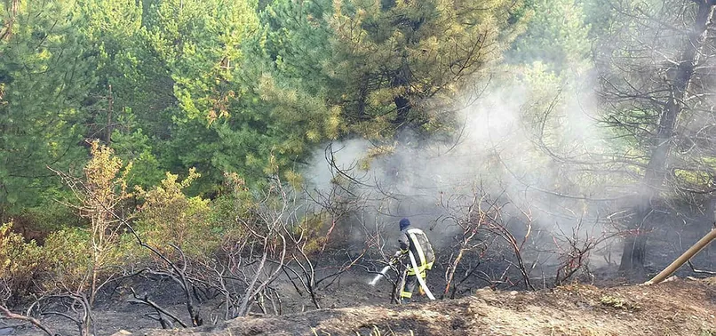 Denizli’de orman yangını büyümeden söndürüldü