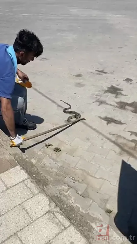 Satılık otomobilden çıkan şoke etti! 4