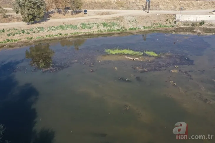 Meriç ve Tunca nehirleri alarm veriyor! Trakya’da kuraklık tehlikesi