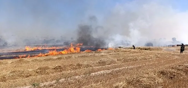 Tekirdağ’da çıkan anız yangını söndürüldü