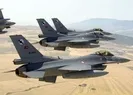 TSK ve MİTten Garaya operasyon