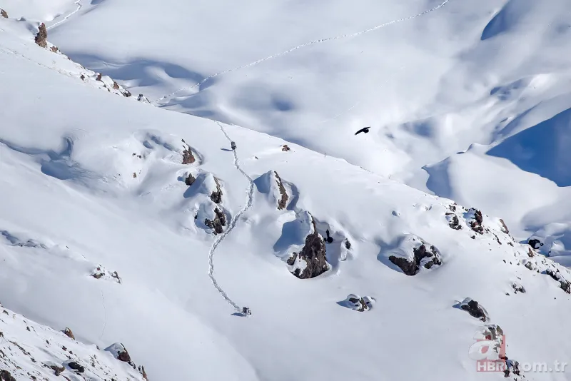 Karla kaplı dağlarda PKK'ya dondurucu darbe 18