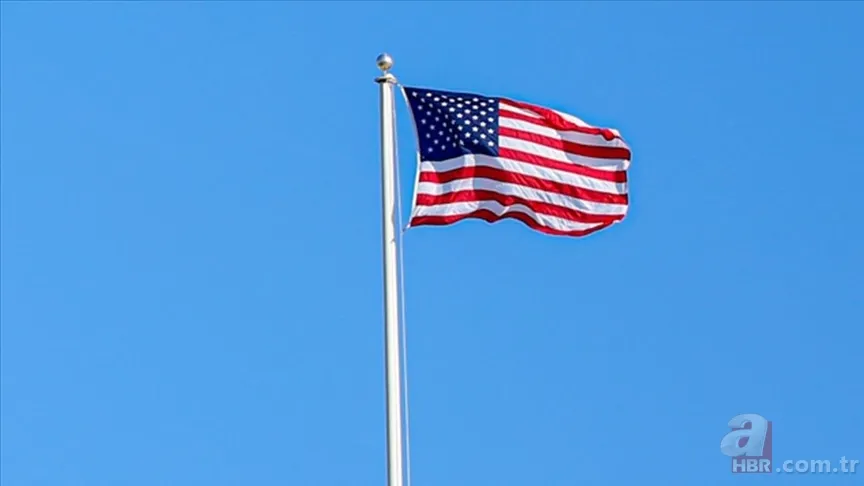 Kedi nüfusu en yüksek ülke açıklandı: ABD ilk sırada Türkiye ise… 2