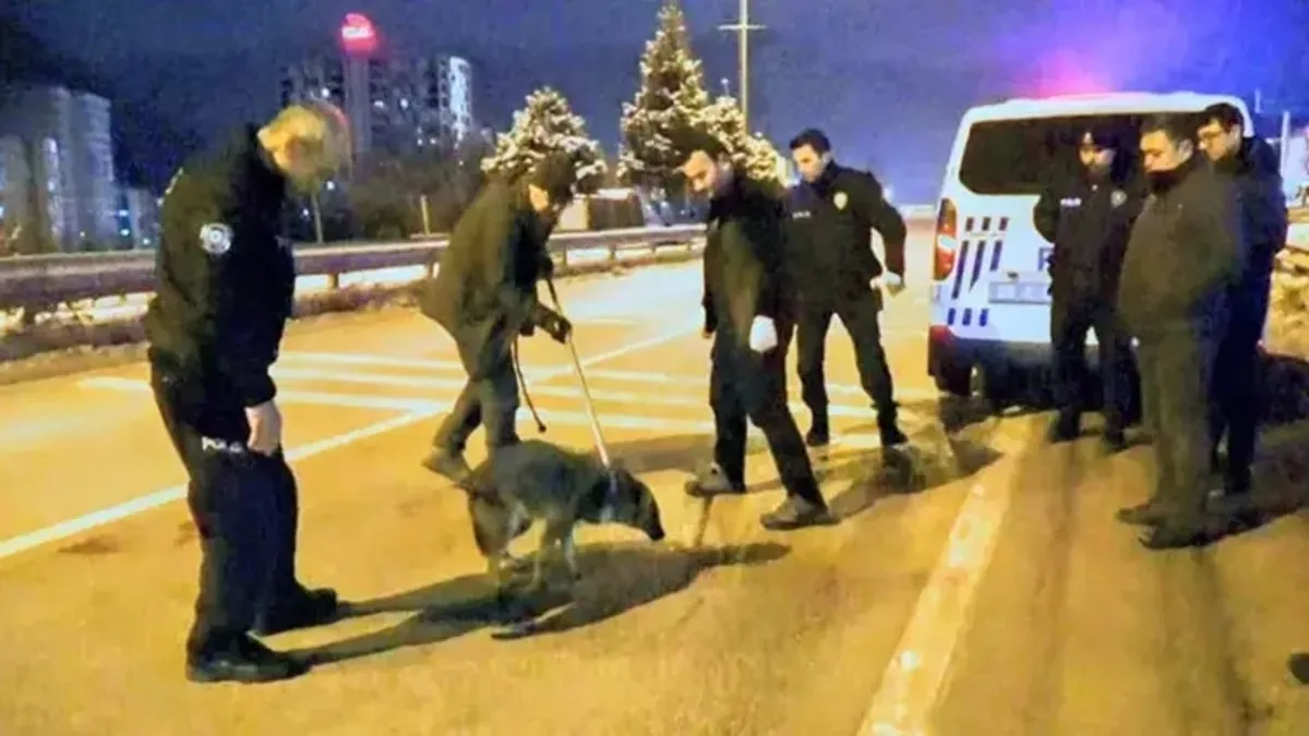 Devriye gezen polislerin bulduğu yaralı yavru kurt tedaviye alındı