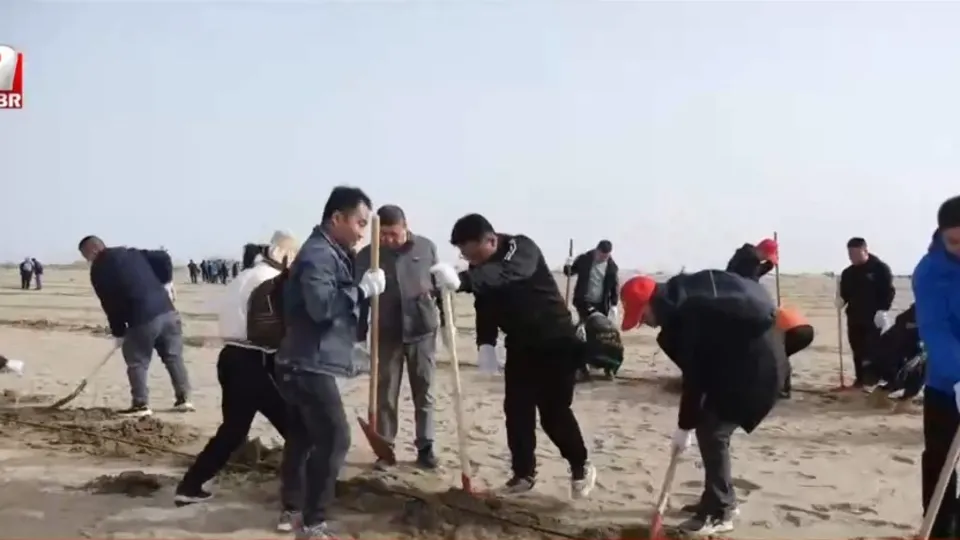 Çölden vahaya muhteşem dönüşüm