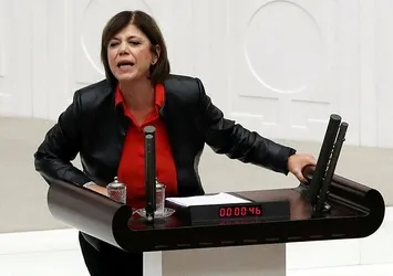 Meral Danış Beştaş'tan küstah paylaşım