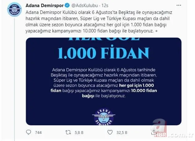 Türkiye yangına karşı tek yürek: Ünlü isimler de destek veriyor! Ormanlara ağaç dikilmesi için büyük kampanya başladı 4