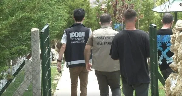 Kod adı karne operasyonu! Mankene yavru aslan iş insanına kaplan yavrusu - 2