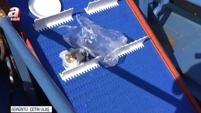 Deniz yüzeyinde biriken atıklar toplandı!