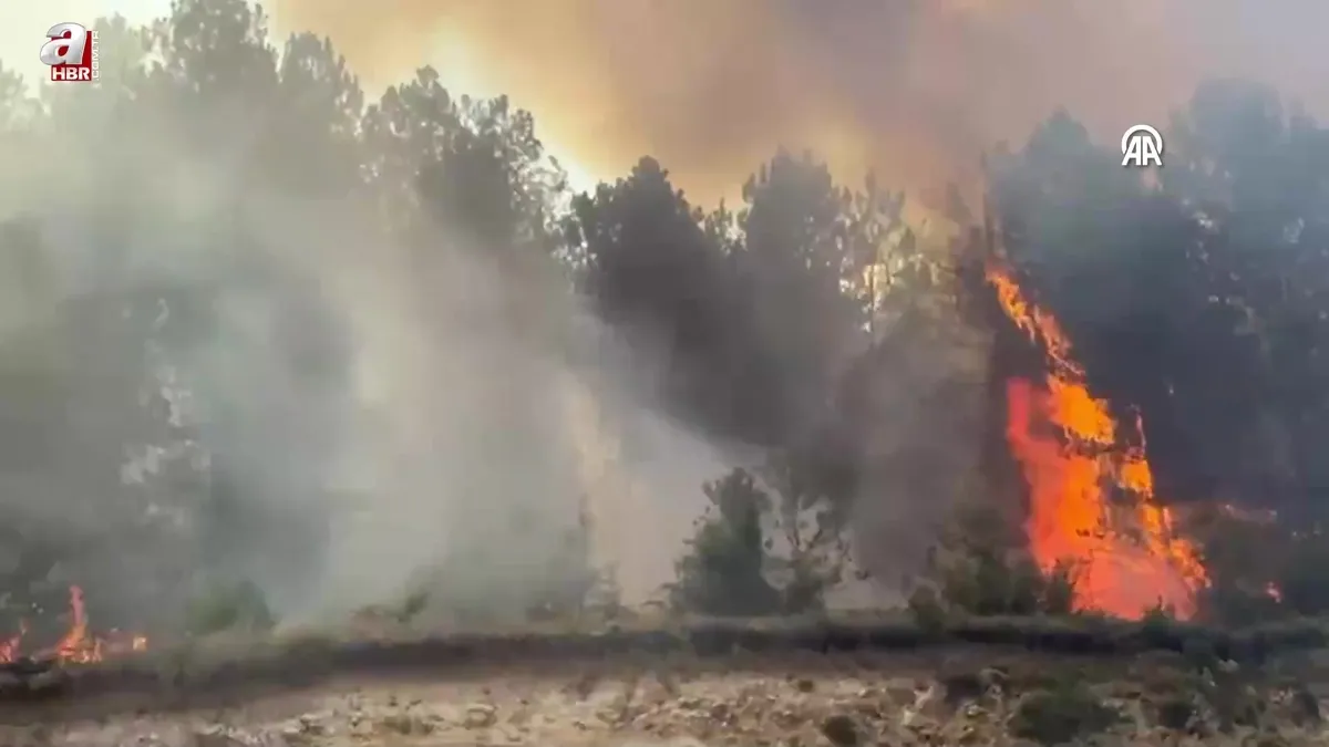 Mengen ilçesinde ormanlık alanda çıkan yangına müdahale ediliyor