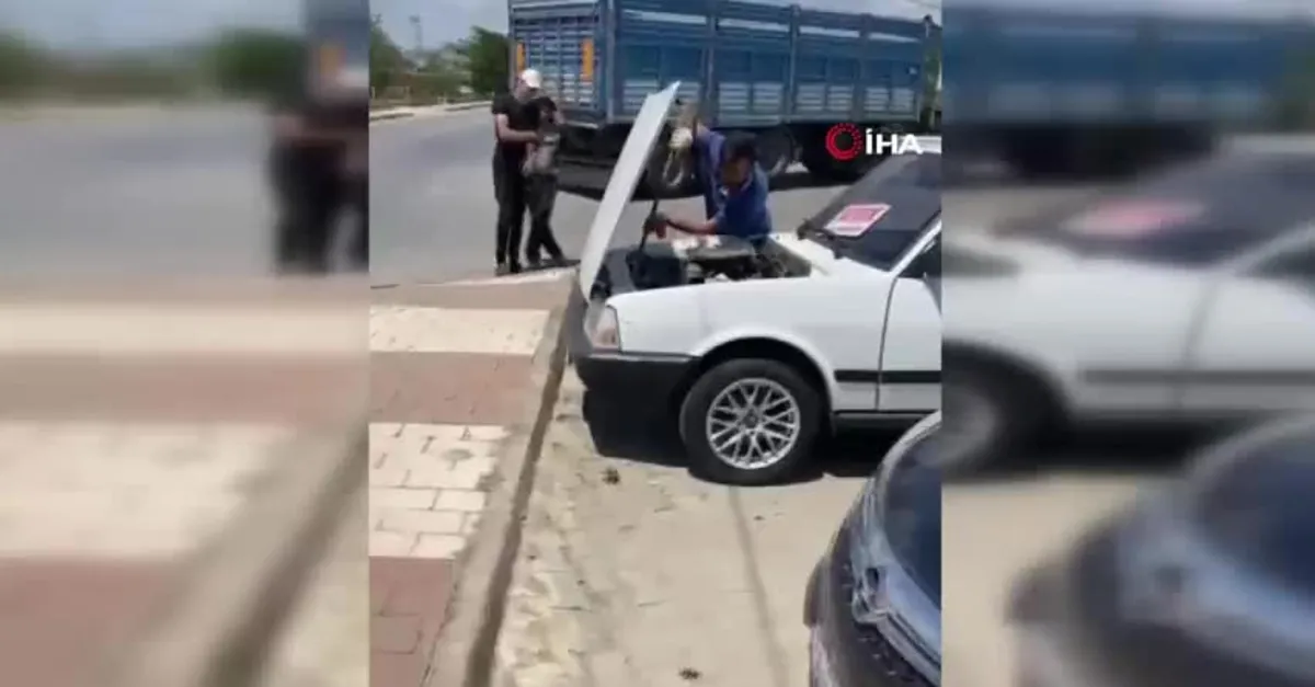 Çanakkale Bayramiç'te şaşkına çeviren olay! Satılık otomobilden çıkan şoke etti