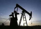 Türkiyeden Güneydoğuda petrol keşfi