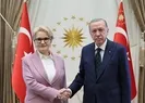 Erdoğan Akşener görüşmesi kulisleri hareketlendirdi