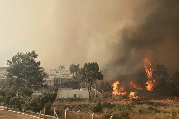 Yangın Muğla Milas’taki Kemerköy Termik Santrali’ne yaklaştı! A Haber ekibi olay yerinde