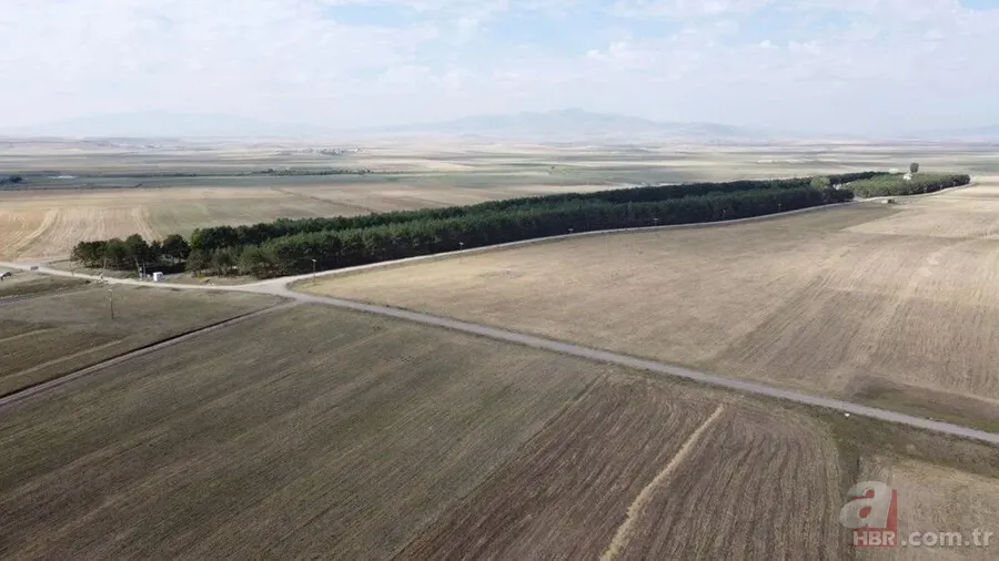Bozkırın ortasında yemyeşil doğa! Hayran bırakan görüntüler 2