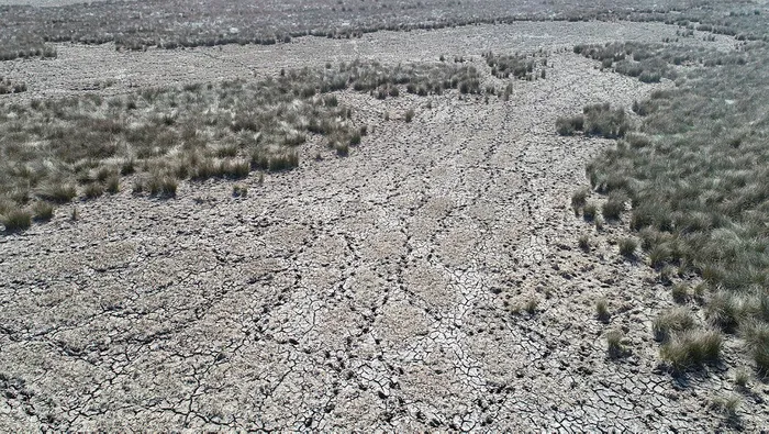 Türkiye’nin önemli sulak alanlarından Kızılırmak Deltası’nda kuraklık tehlikesi!