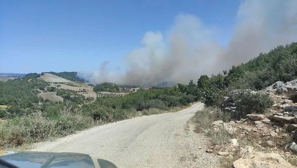 mersinde-korkutan-orman-yangini-1689087536567.jpg Mersin'deki orman yangını kontrol altında - 3