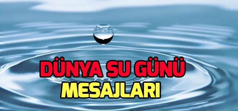 Dünya Su Günü nedir, nasıl ortaya çıktı? 22 Mart Dünya Su Günü etkinlikleri neler?