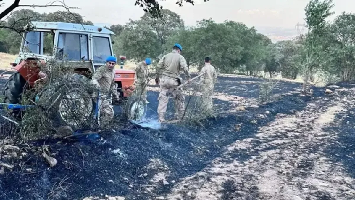 Uşak'ta iki ayrı yerde orman yangını: 11 ev tahliye edildi