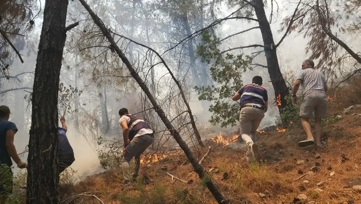 Alevler sahile ilerliyor! Muğla Datça’da orman yangını! Alev kapanı bölgeyi sardı