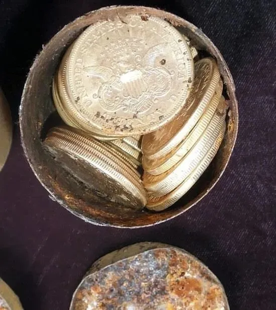 Köpek gezdirirken adeta gömü buldu! Altından kat kat daha kıymetli!