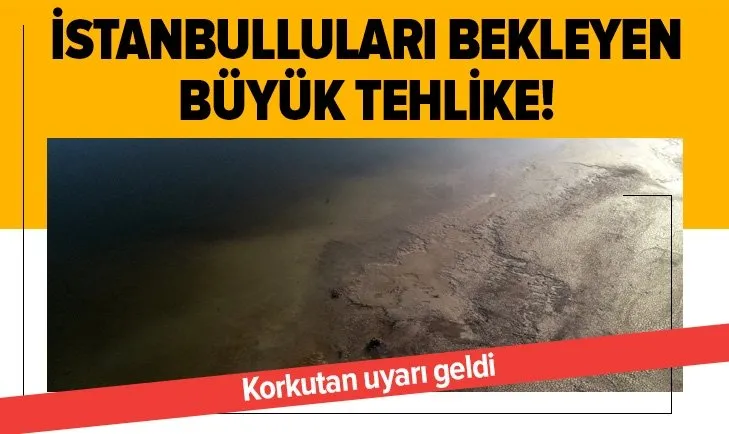 İstanbulluları bekleyen büyük tehlike! Uzmanlardan sivrisinek artışı ve hastalık uyarısı