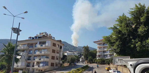 1689863362278.jpg Antalya’nın Alanya ilçesinde orman yangını kontrol altında - 3