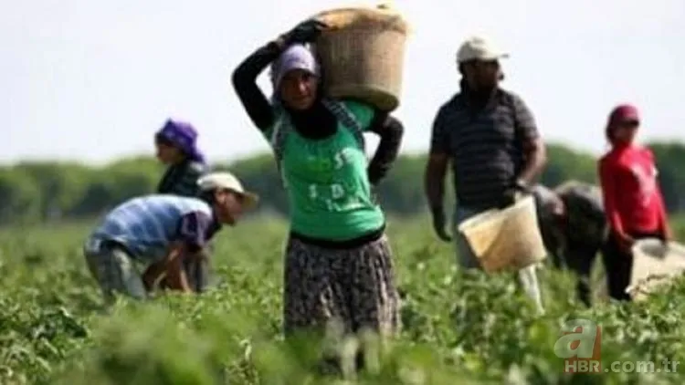 Mevsimlik işçiler kıdem tazminatı alabilir mi? Kıdem tazminatı nasıl hesaplanır? 3